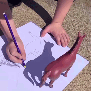shadow drawing activities for kids